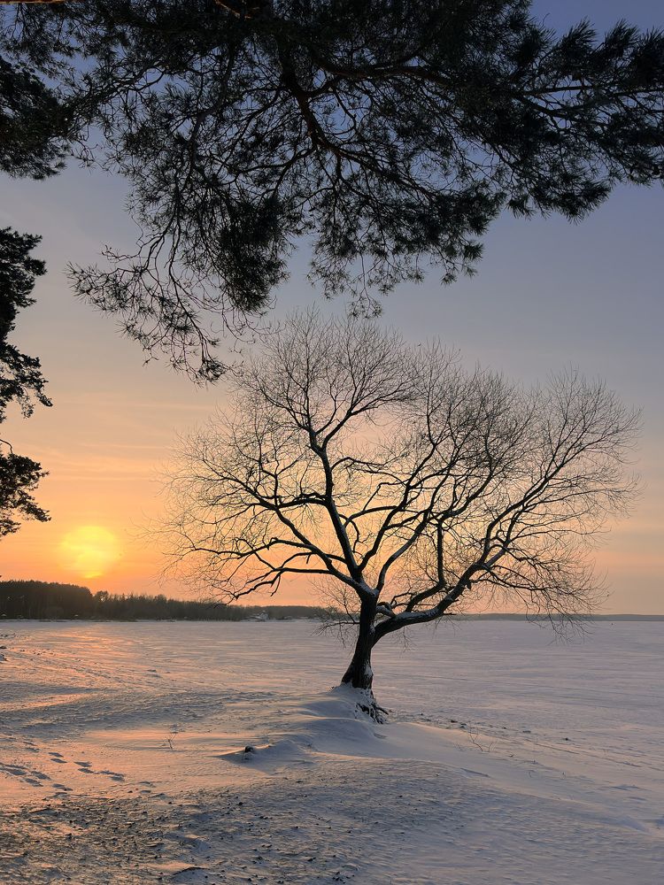 Photograph by Елена Башмакова