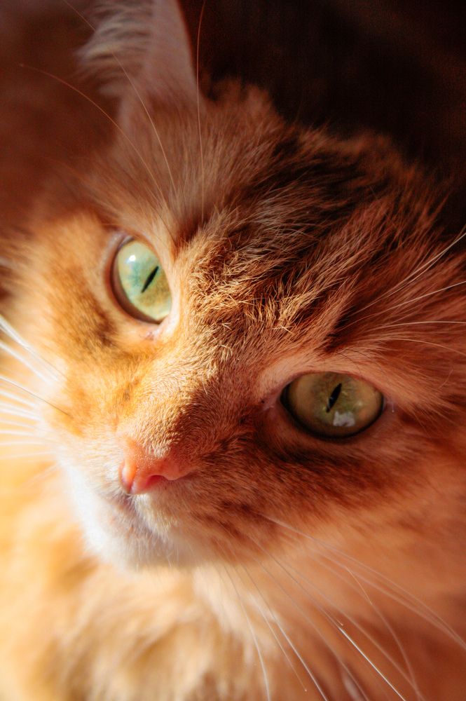 Photograph by Alena Rybakova