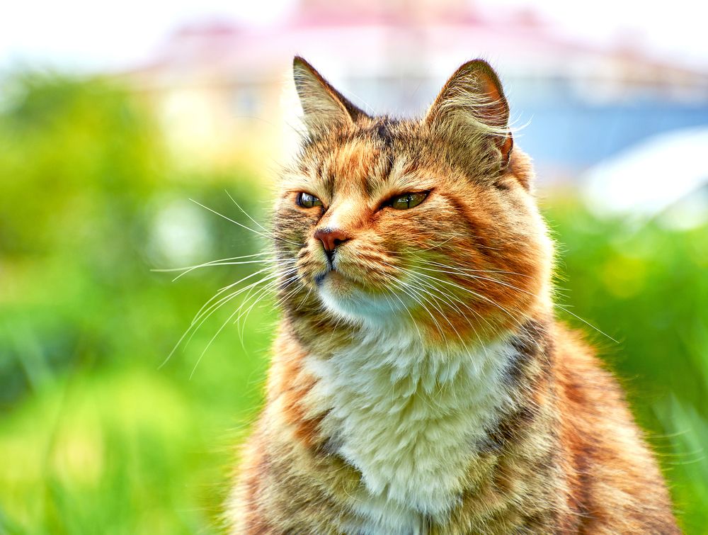 Photograph by Валерий Гончаров