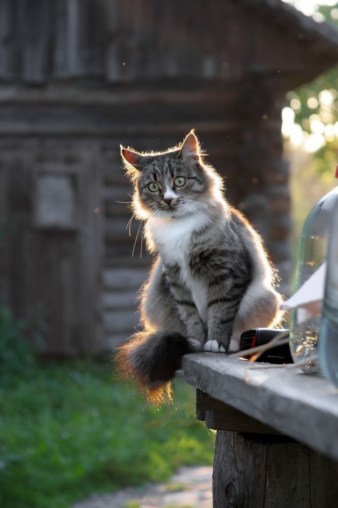 Photograph by Людмила Александровна