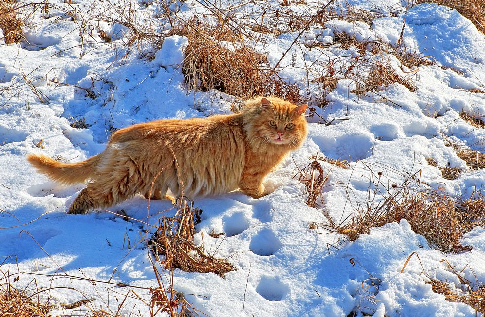 Photograph by Валерий Гончаров