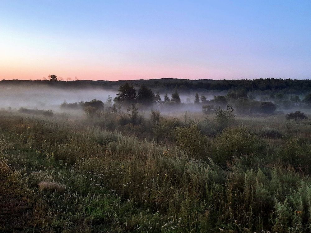 Photograph by Любовь Войтишина