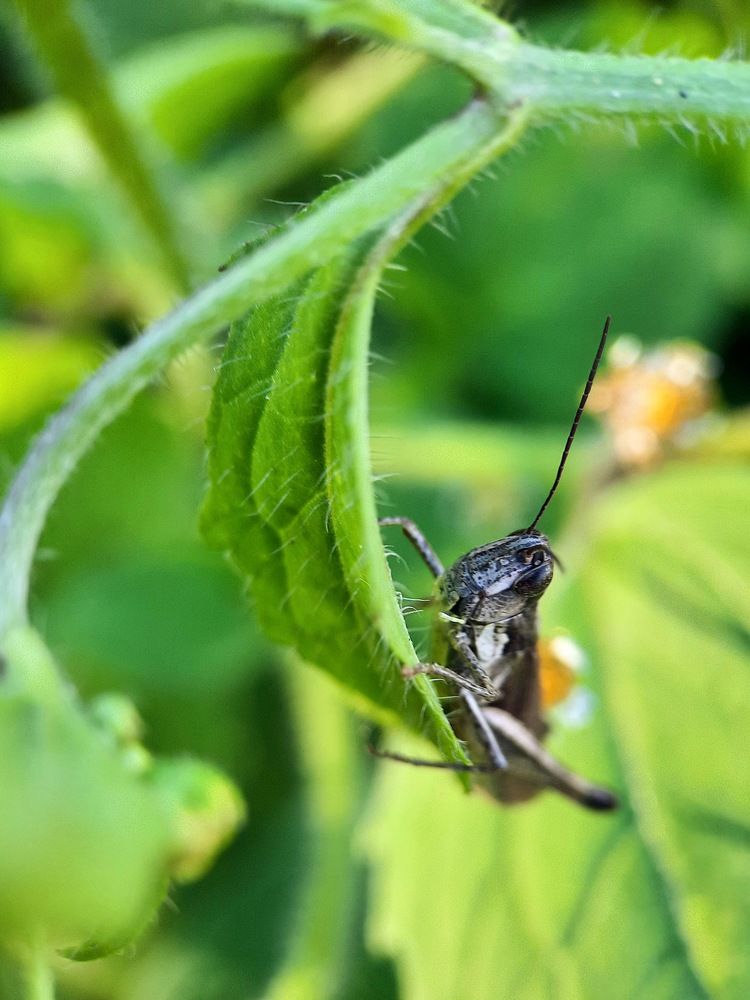 Photograph by Любовь Войтишина