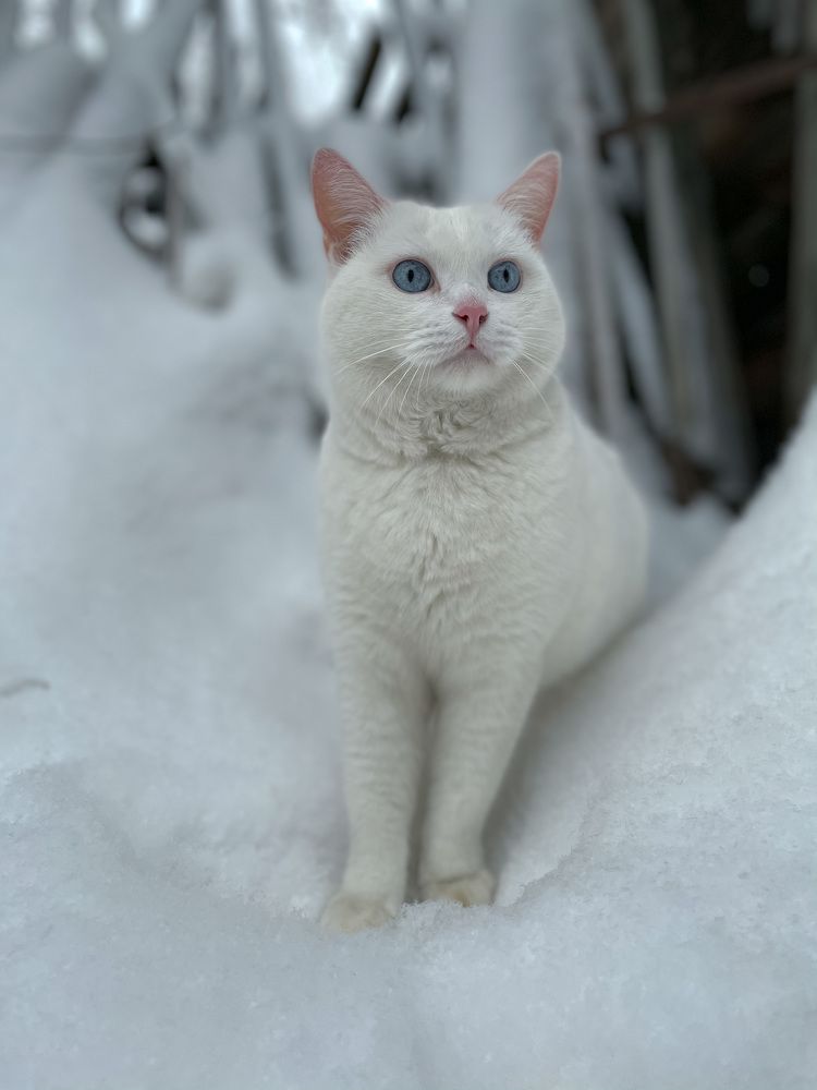 Photograph by Вероника Брацюн