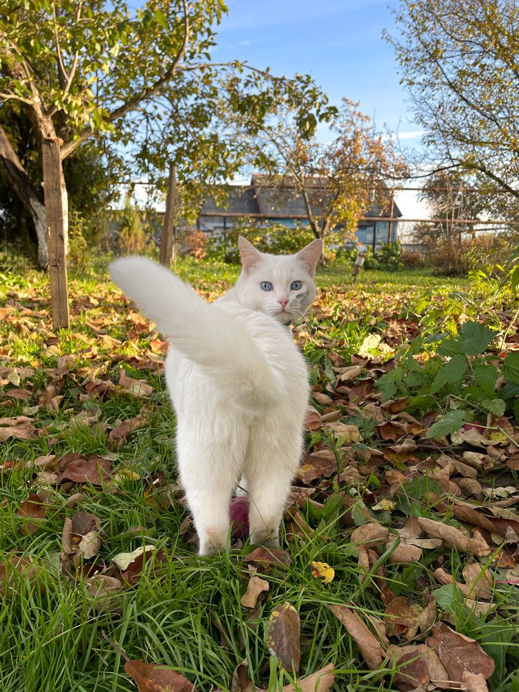 Photograph by Вероника Брацюн