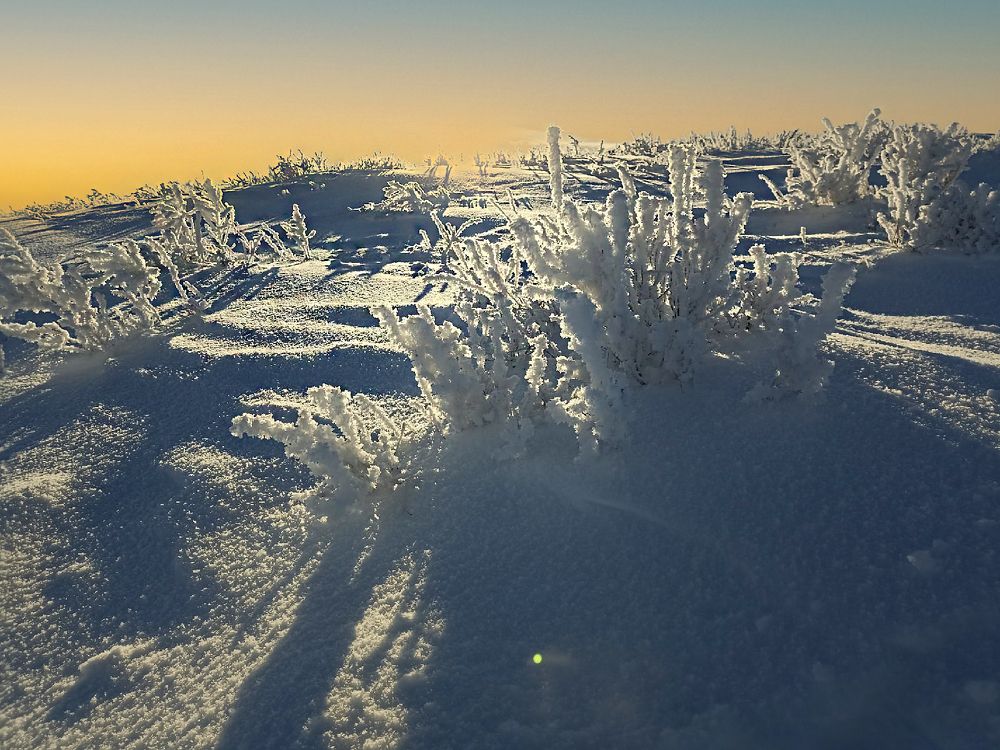 Photograph by Татьяна Мазепова