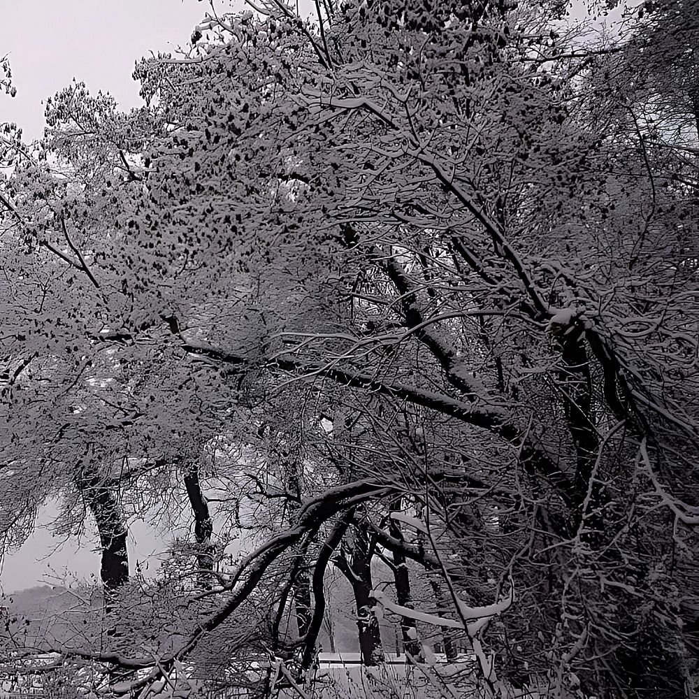 Photograph by Анна Лернер