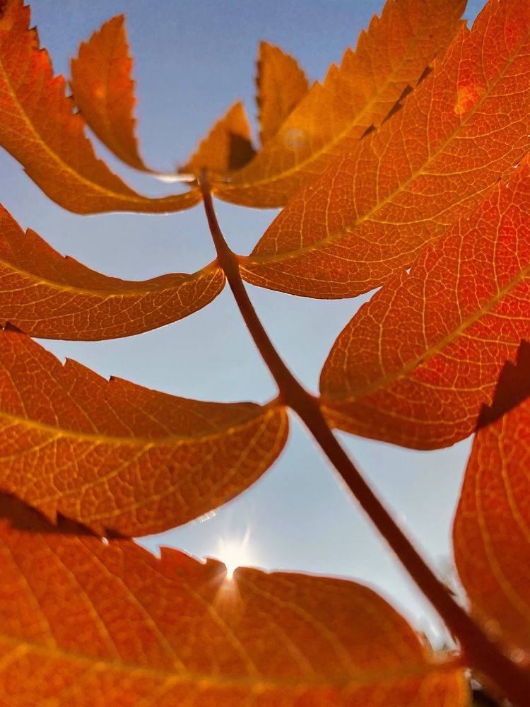 Photograph by Иван