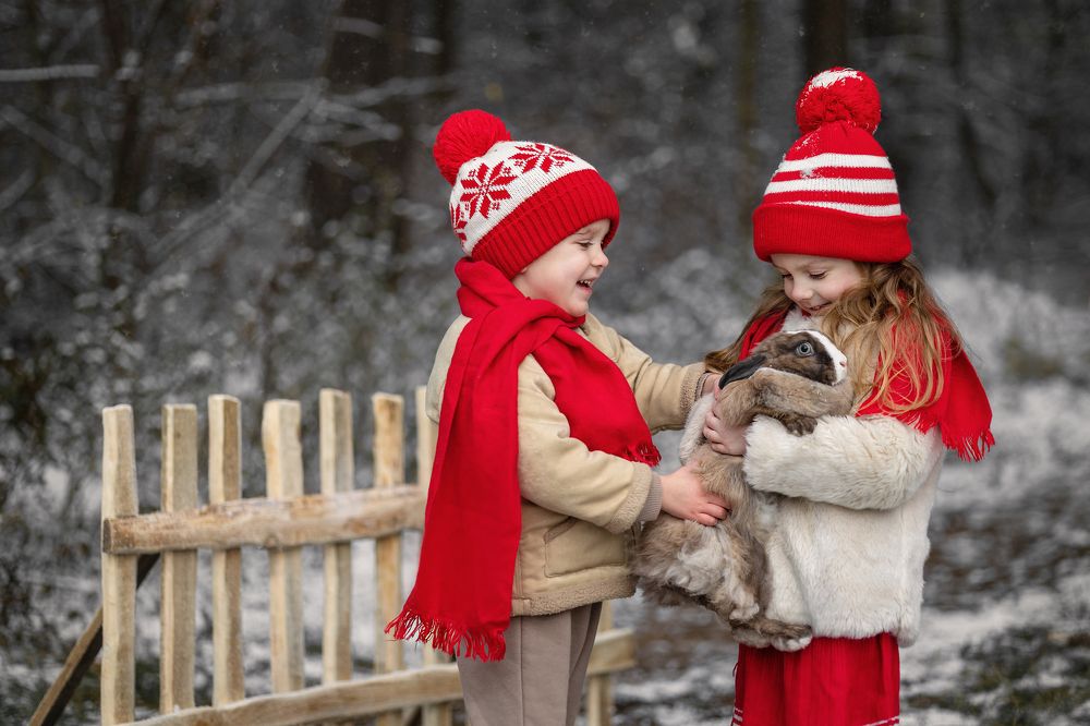 Photograph by Елизавета