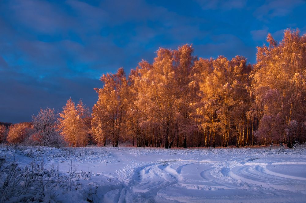 Photograph by Светлана