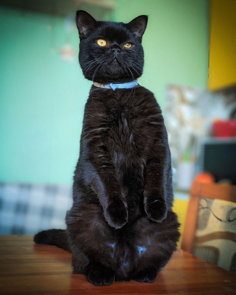 Фотография автора Ксения Шляйхер