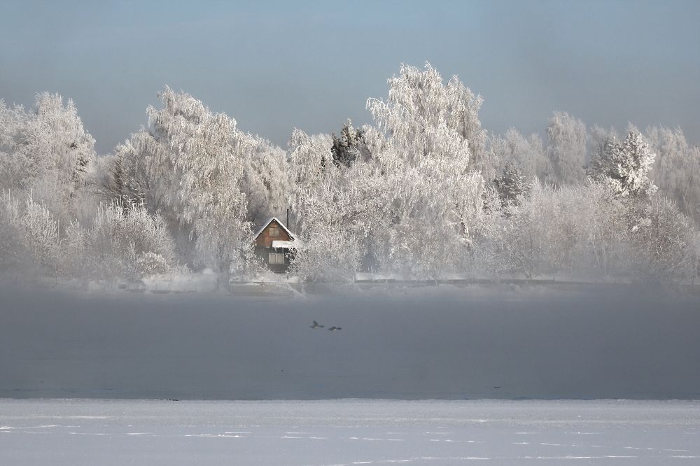Летние домики на островах Ангары