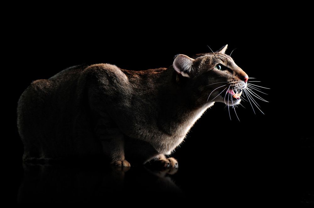 Photograph by Татьяна Калмацуй