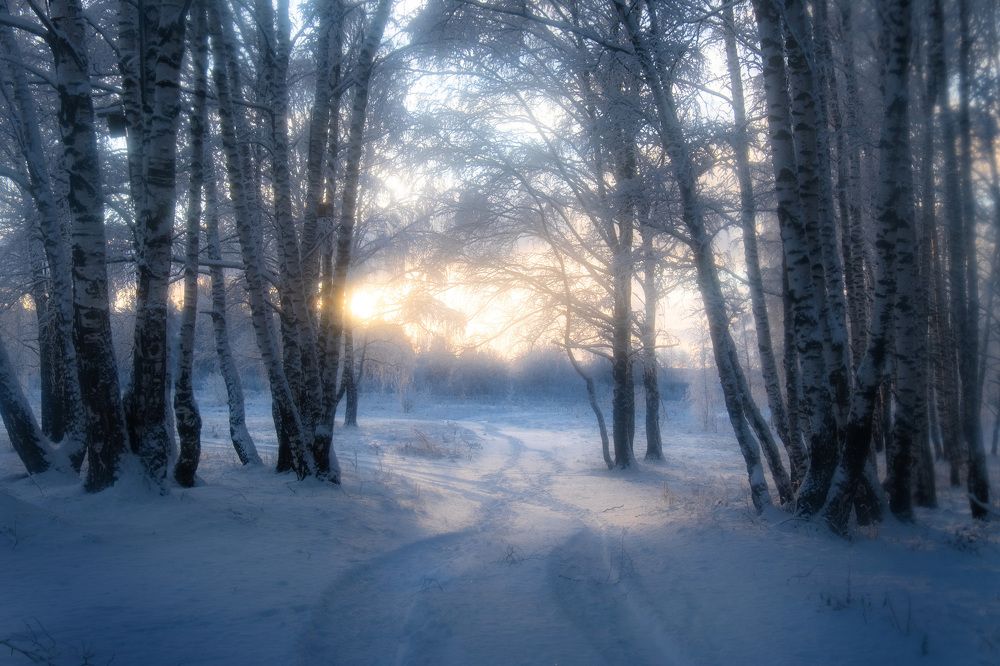 Photograph by Светлана