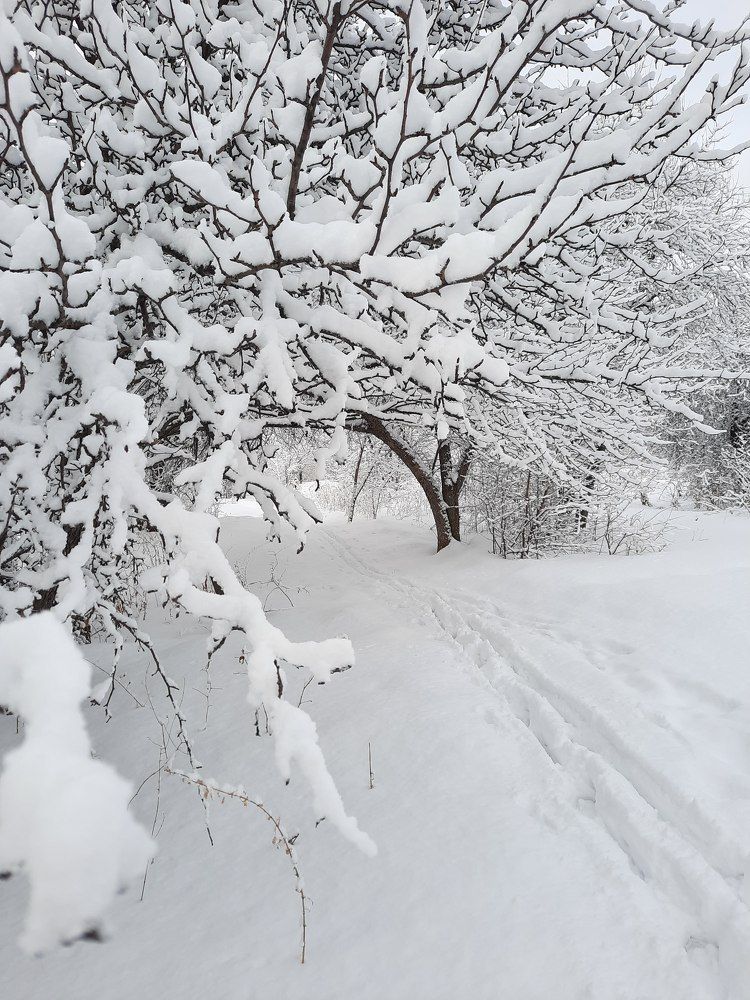 Photograph by Любовь Войтишина