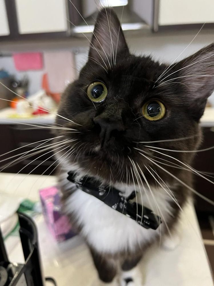 Photograph by Юлия Бахметьева