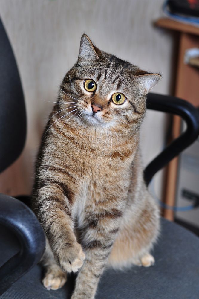 Photograph by Юлия Козельских