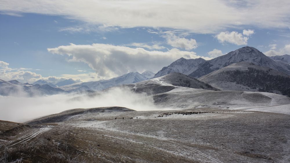 Photograph by Жанна Агафонова