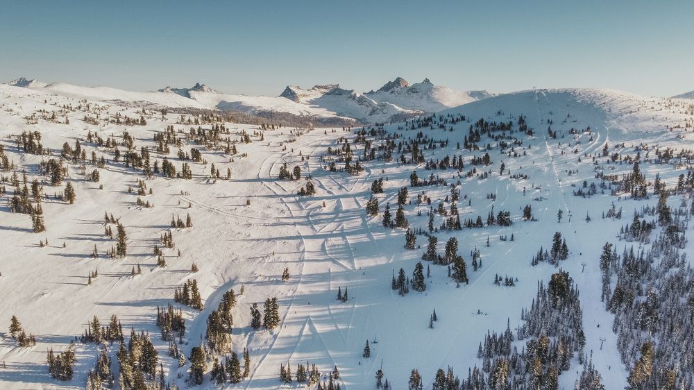 Фотография автора Горбачёва Юлия