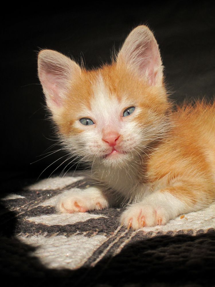 Photograph by abd alghani