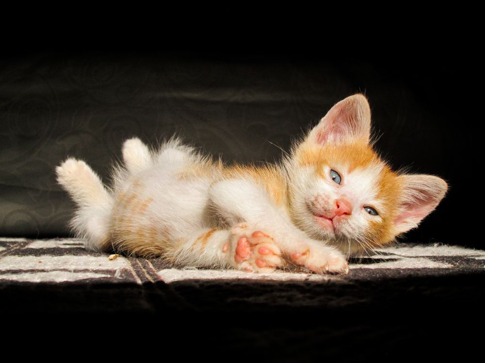 Photograph by abd alghani