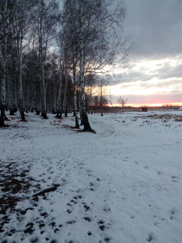 Photograph by Ирина Ахметова