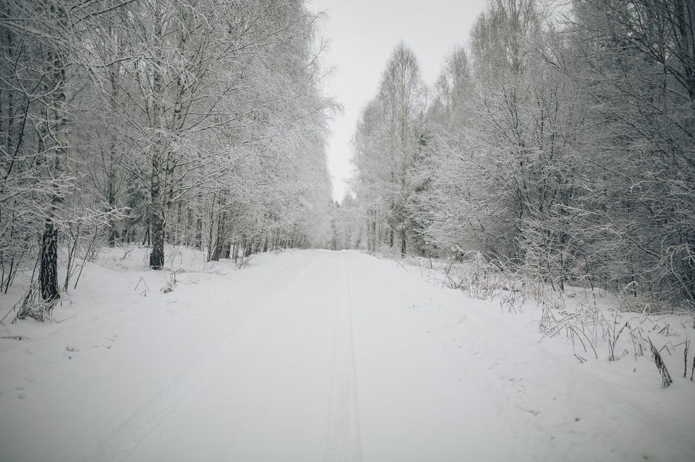 Photograph by Потёмкин Денис