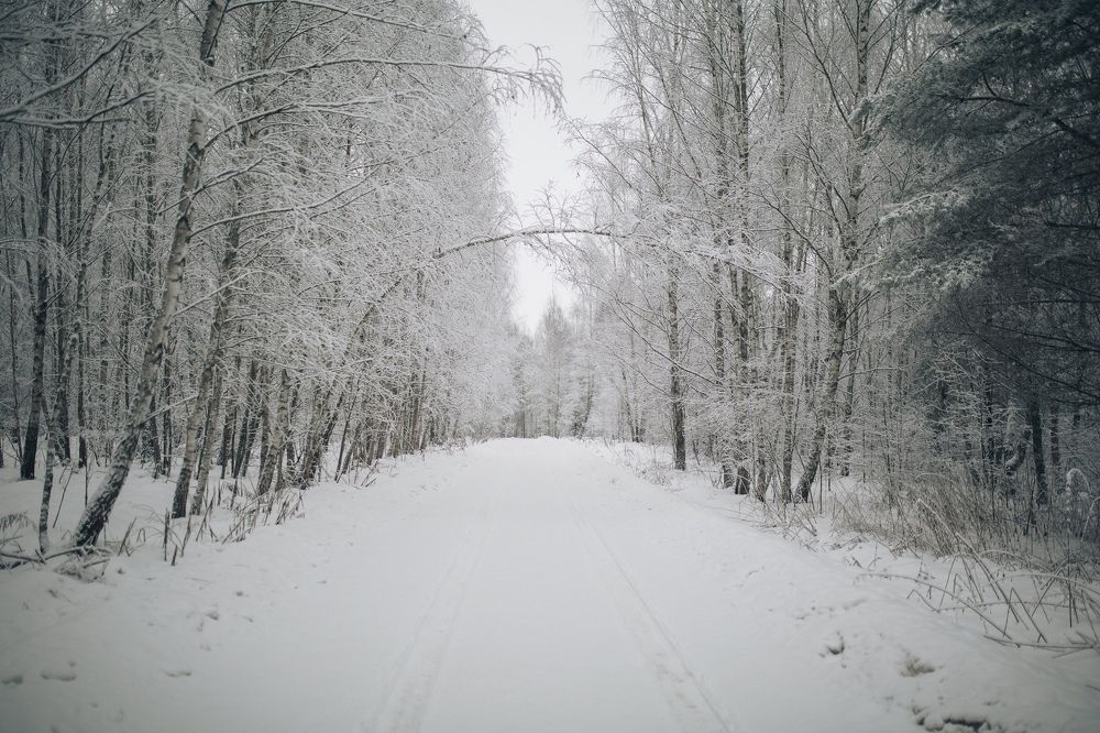 Photograph by Потёмкин Денис