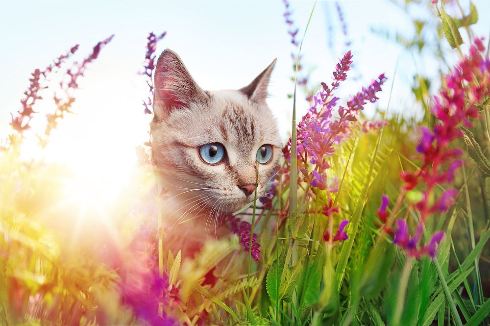 Photograph by Татьяна Калмацуй