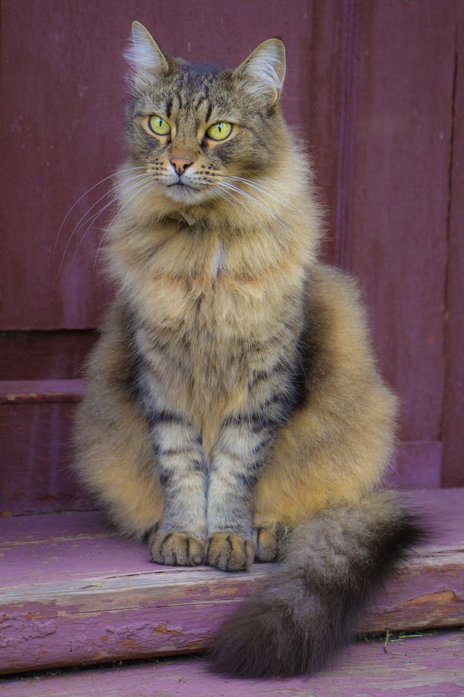 Photograph by Анастасия Северюхина