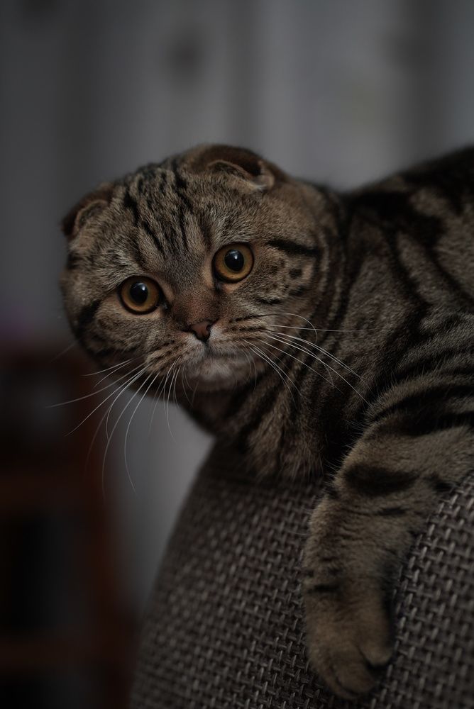 Photograph by Ольга Дой