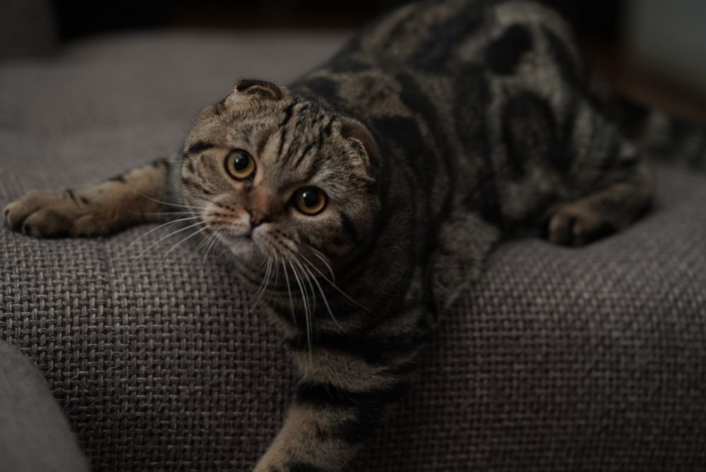 Photograph by Ольга Дой