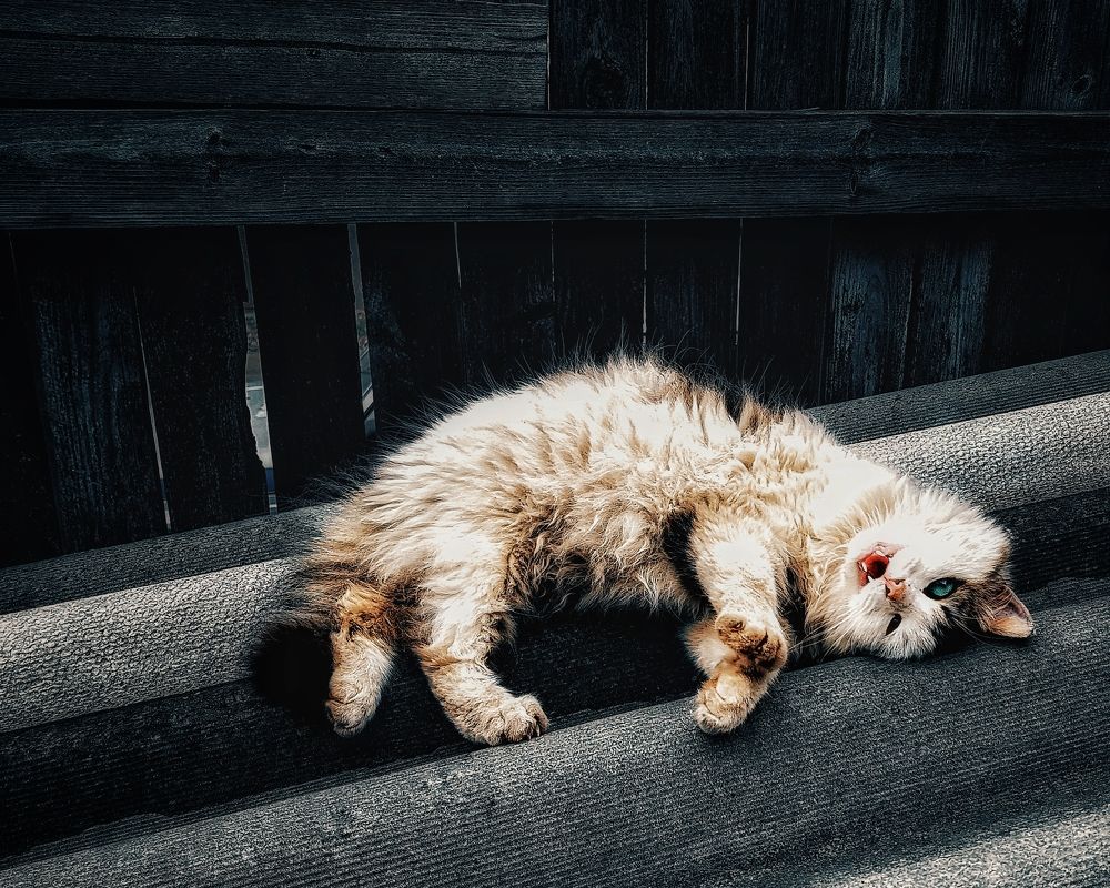 Photograph by Виктор Перегуд