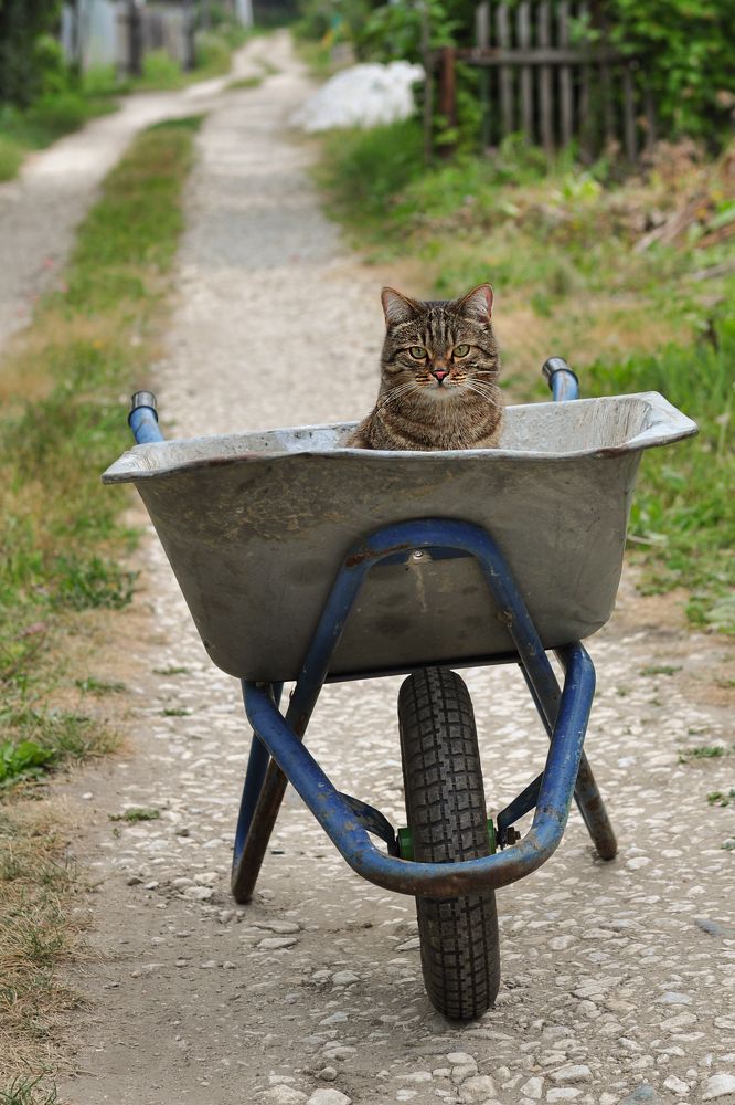 Photograph by Юлия Козельских