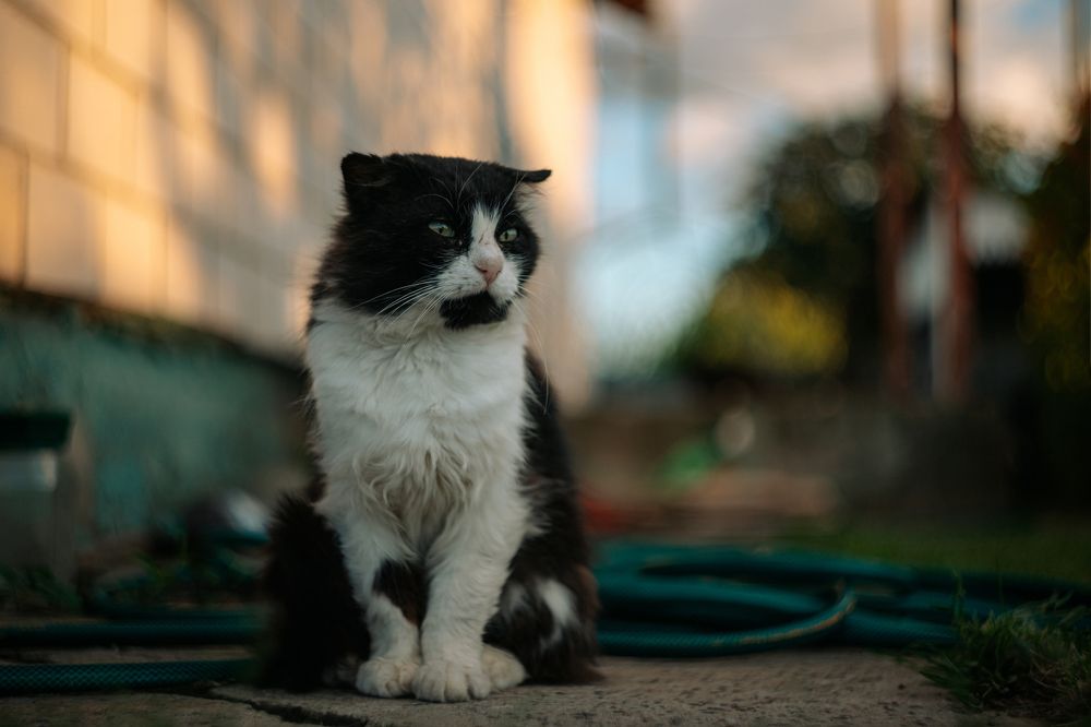 Фотография автора Лукашенко Ольга