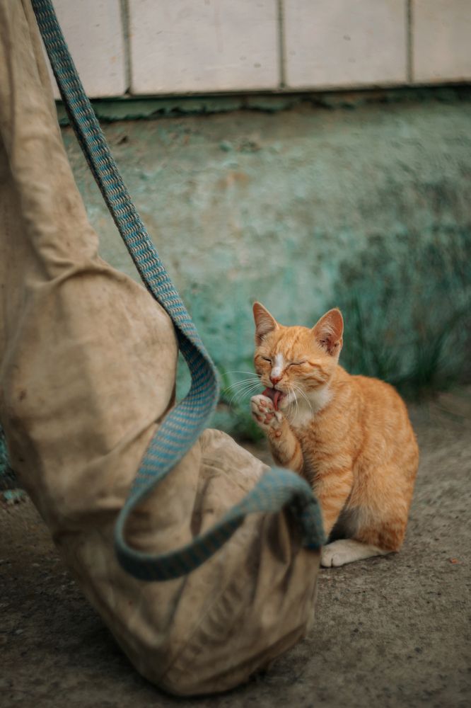 Фотография автора Лукашенко Ольга