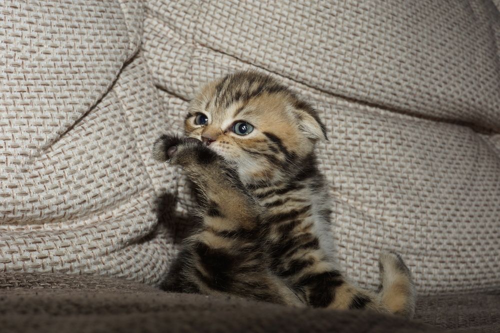 Photograph by Ольга Дой