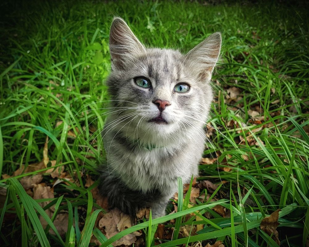 Photograph by Виктор Перегуд