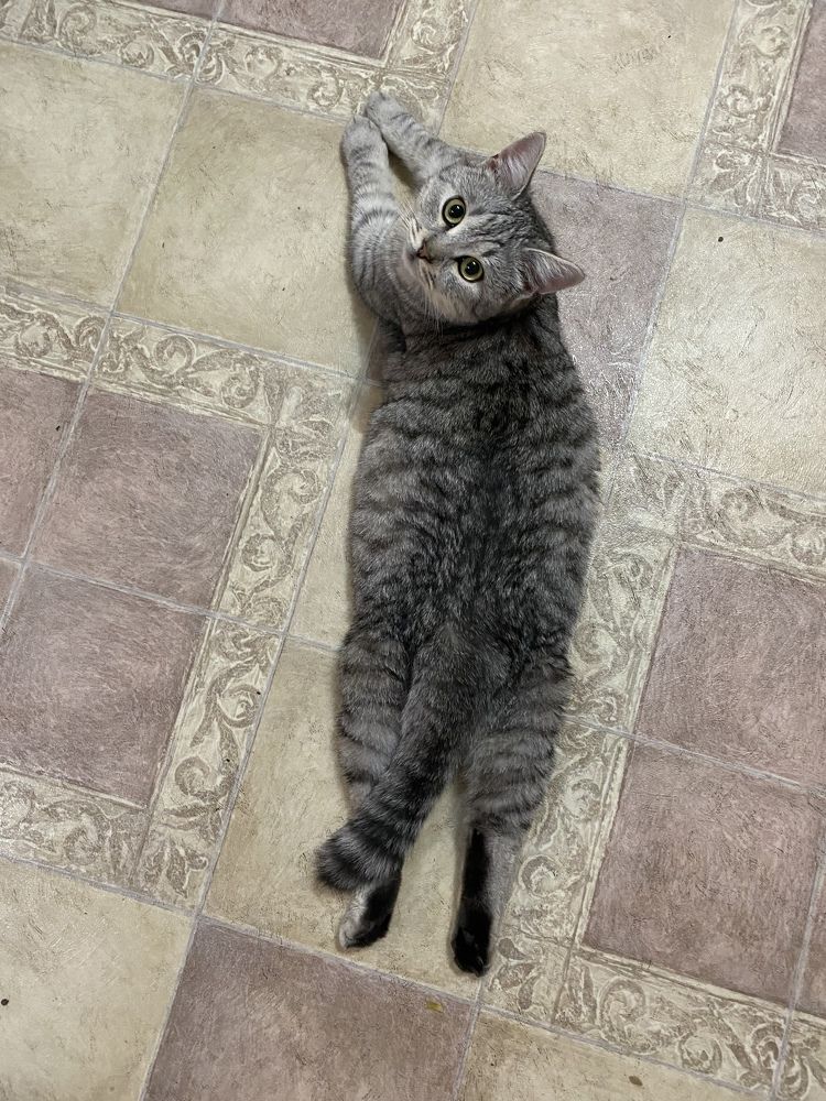 Photograph by Елена Гущина