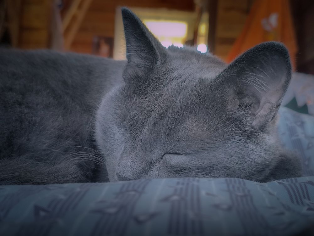 Photograph by Илья Толстоноженко