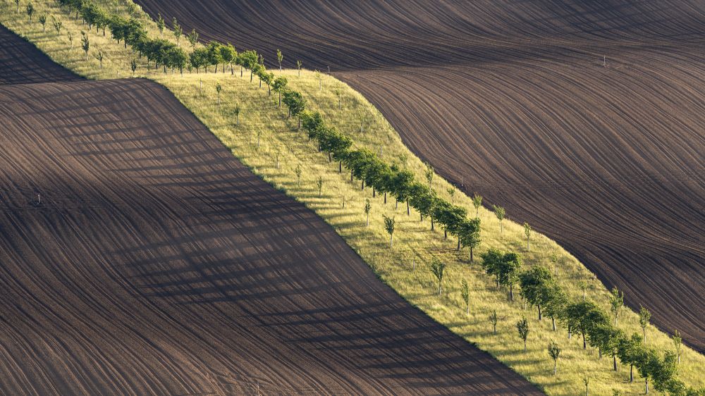 Photograph by Dennis Vagner