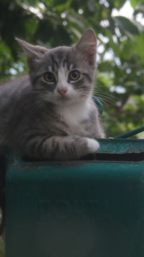 Photograph by Илья Шевченко
