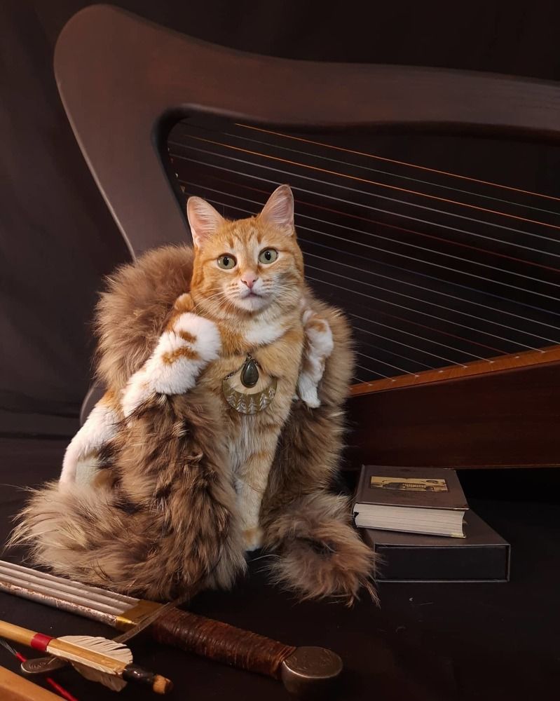 Photograph by Татьяна Акулова