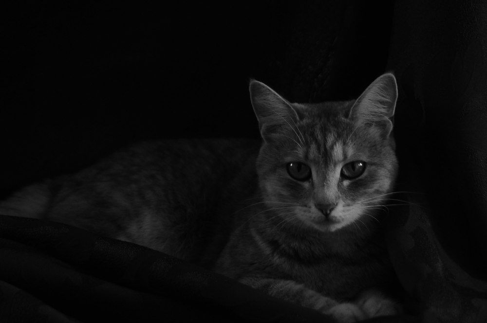 Photograph by гульназ замалеева