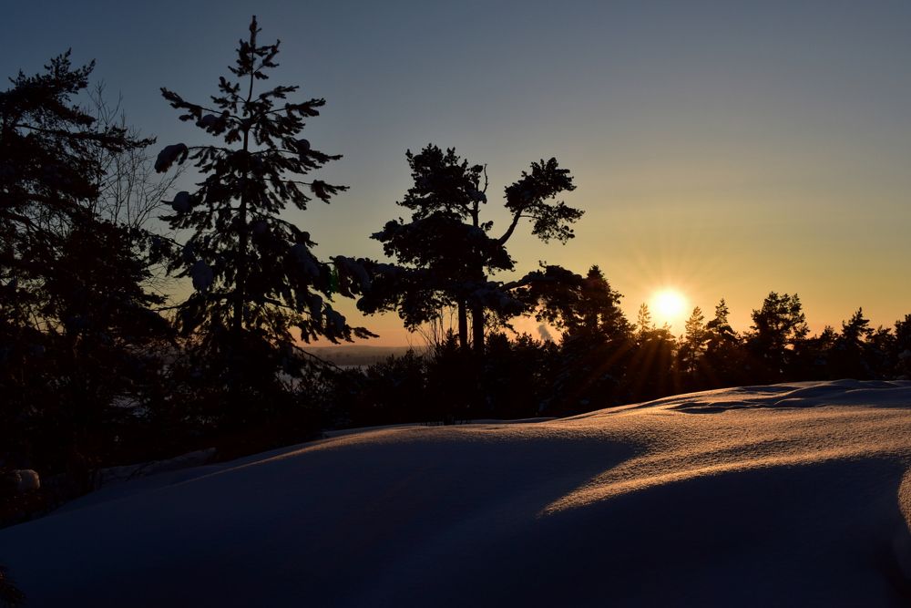 Photograph by Елена Амозова