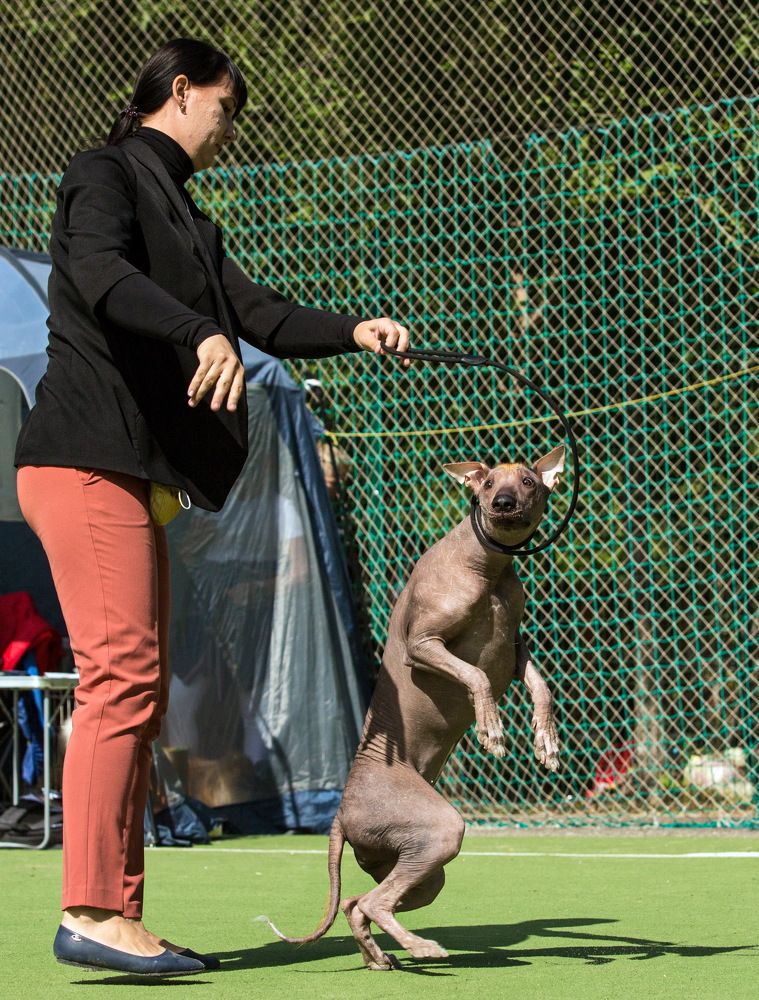 Photograph by Марина Ватанская