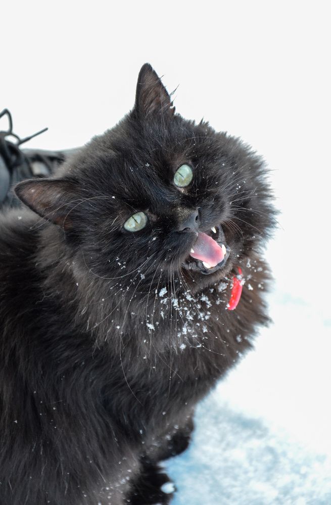 Photograph by Денчук Наталья