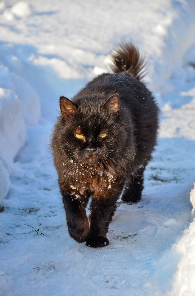 Photograph by Денчук Наталья