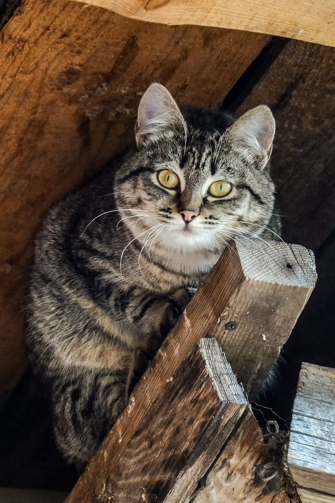 Photograph by Денчук Наталья