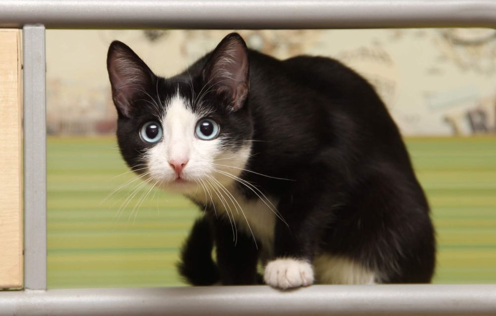 Photograph by Алина